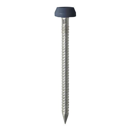 TIMCO Polymer Headed Pins A4 Stainless Steel Anthracite Grey - 40mm