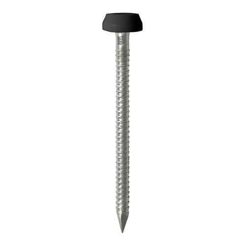 TIMCO Polymer Headed Pins A4 Stainless Steel Black - 40mm