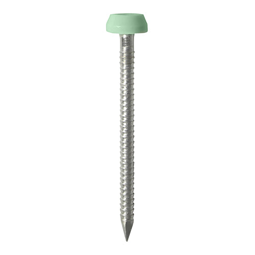 TIMCO Polymer Headed Pins A4 Stainless Steel Chartwell Green - 30mm