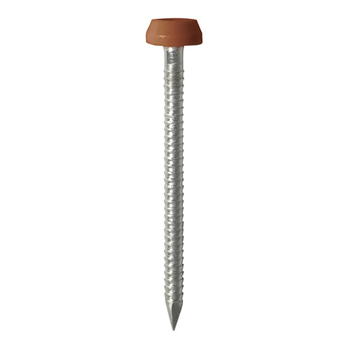 TIMCO Polymer Headed Pin A4 Stainless Steel Clay Brown - 40mm