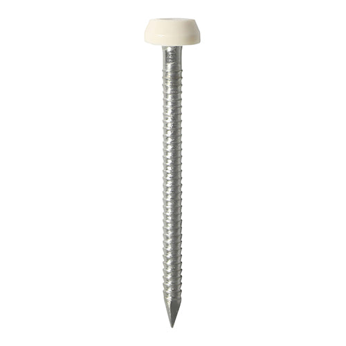 TIMCO Polymer Headed Pin A4 Stainless Steel Cream - 40mm