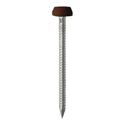 TIMCO Polymer Headed Pins A4 Stainless Steel Mahogany - 40mm