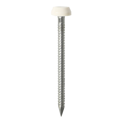 TIMCO Polymer Headed Pins A4 Stainless Steel White - 40mm