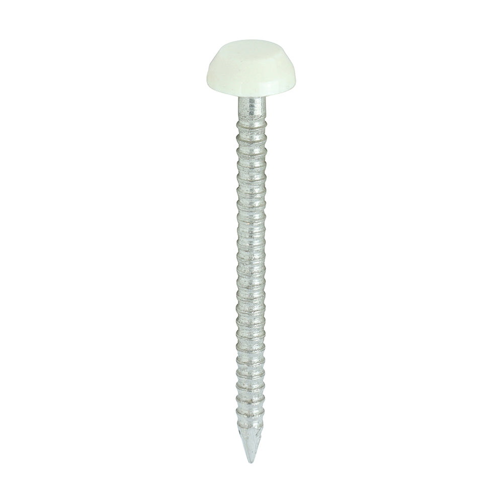 TIMCO Polymer Headed Pins A4 Stainless Steel Cream - 30mm