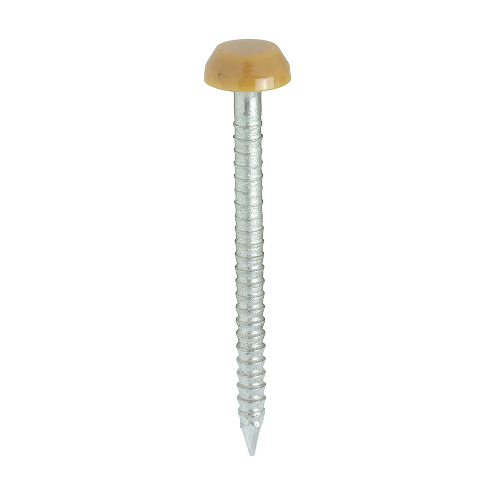 TIMCO Polymer Headed Pins A4 Stainless Steel Oak - 30mm