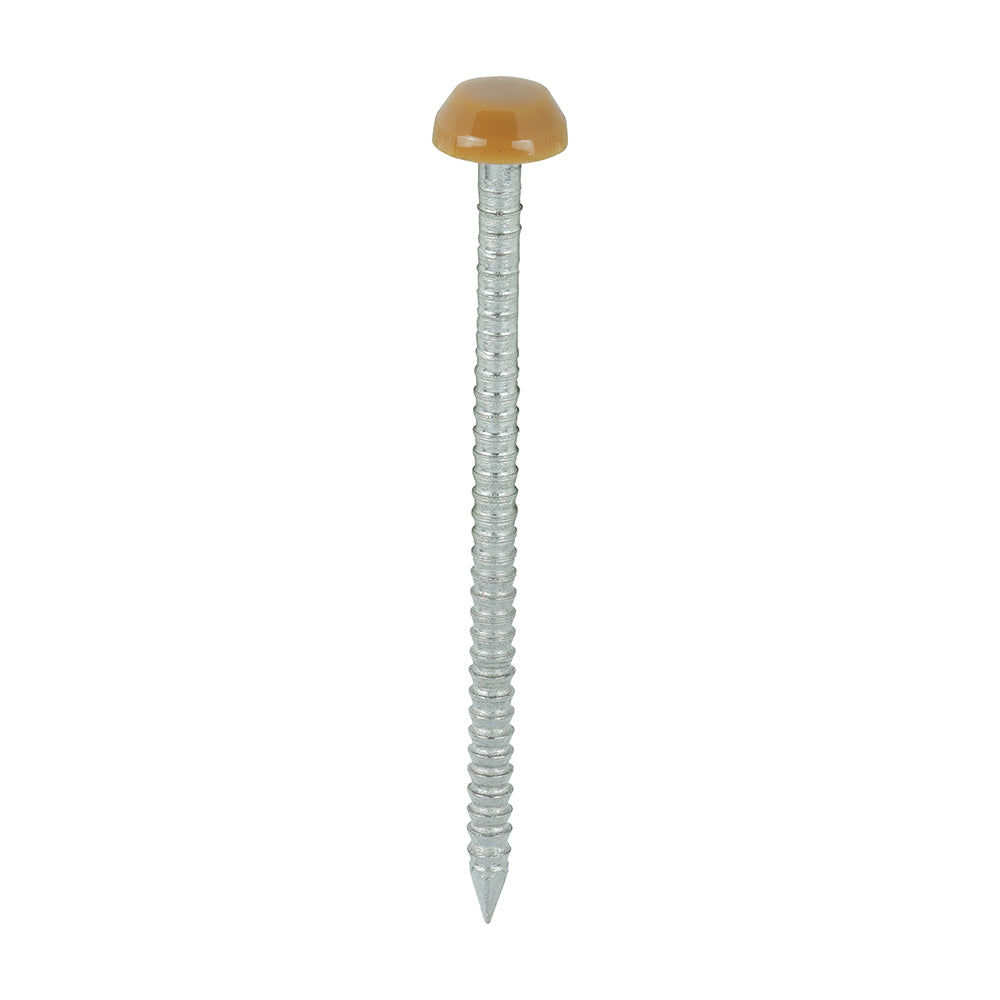 TIMCO Polymer Headed Pins A4 Stainless Steel Oak - 40mm