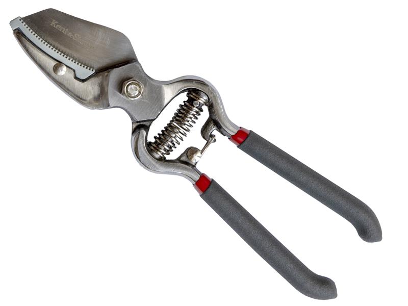 Traditional Anvil Secateurs