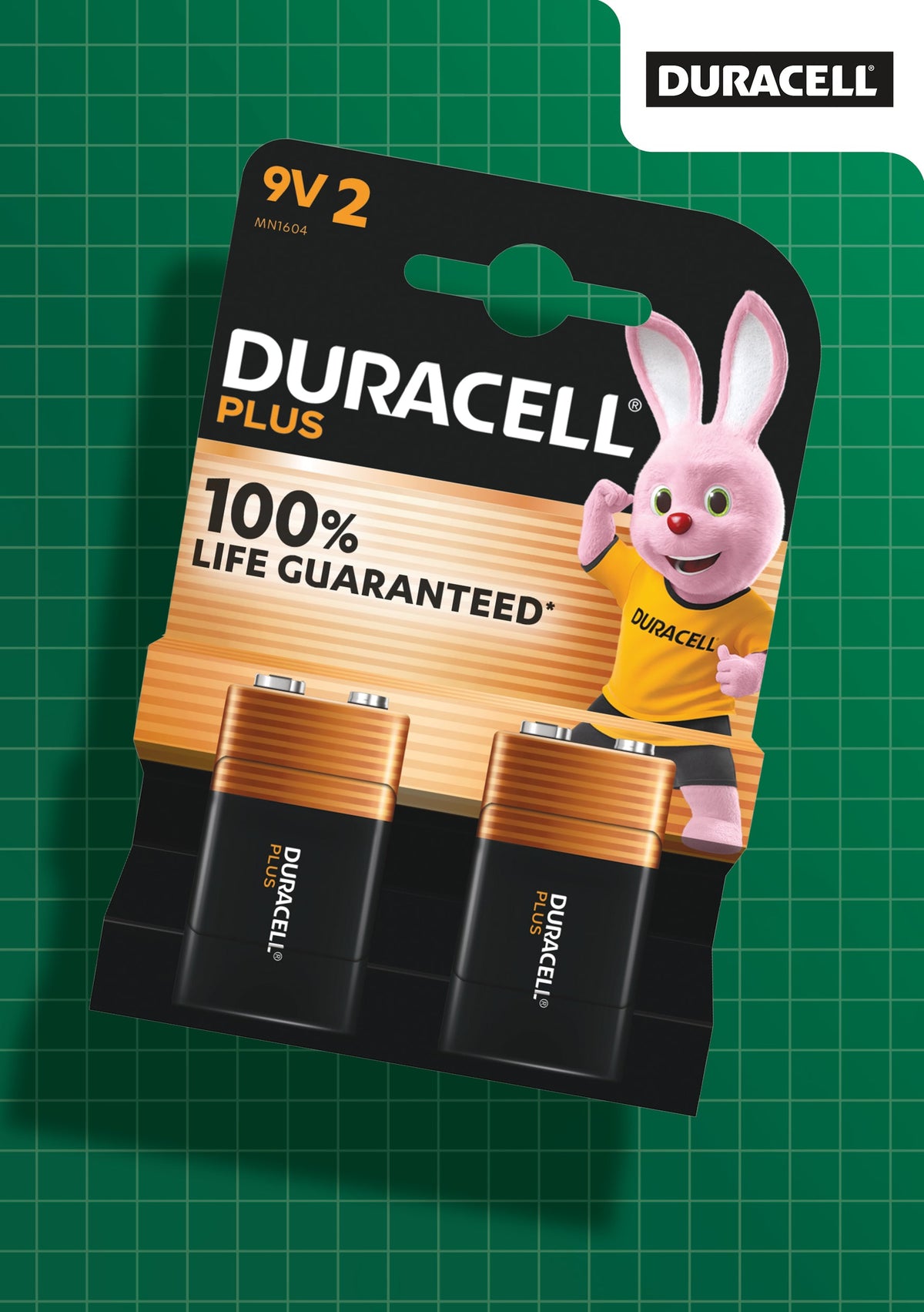 Duracell Plus Power 9V 2-pack: long-lasting alkaline batteries for smoke alarms, toys and detectors.