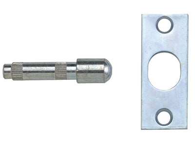 P125 Hinge Bolts Brass