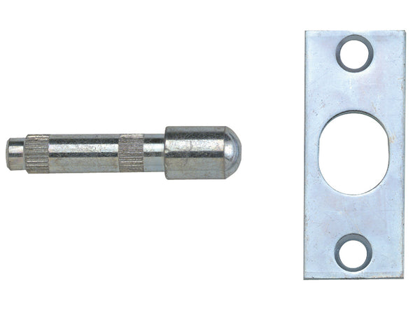 P125 Hinge Bolts Brass