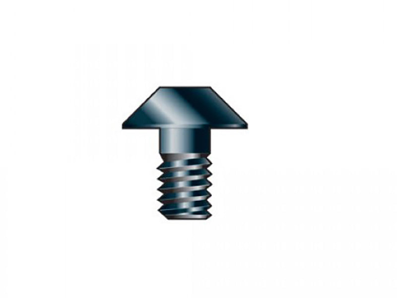 SP-46/02D Replacement TORX Screw