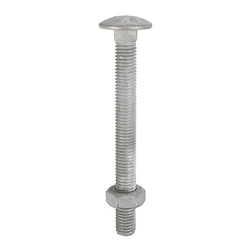 TIMCO Carriage Bolts DIN603 & Hex Full Nuts DIN934 Hot Dipped Galvanised - M8 x 75