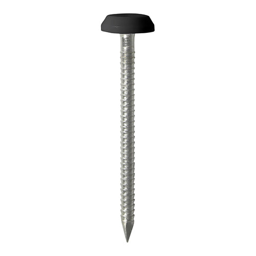 TIMCO Polymer Headed Nails A4 Stainless Steel Black - 50mm