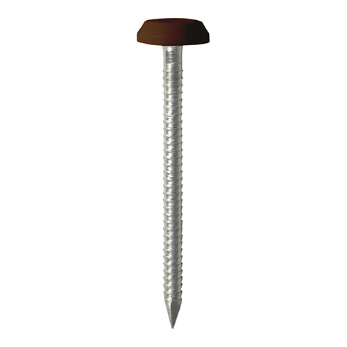 TIMCO Polymer Headed Nails A4 Stainless Steel Mahogany - 50mm