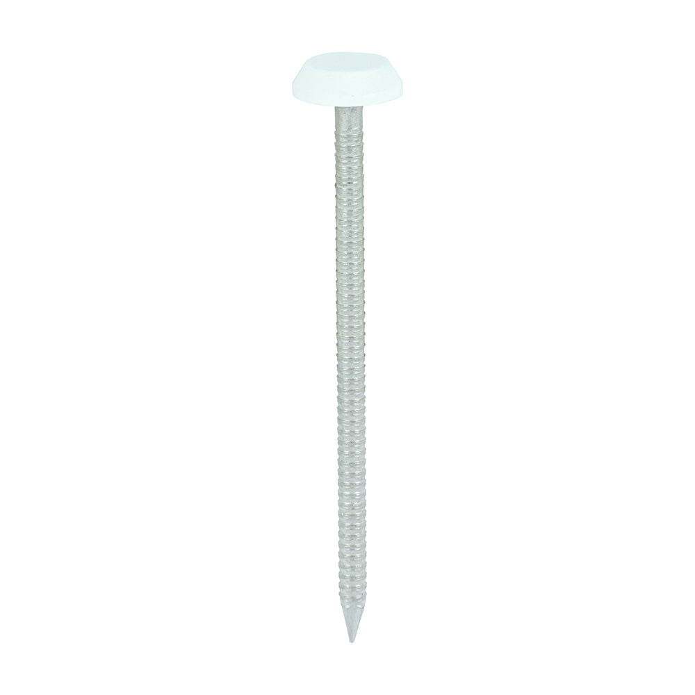 TIMCO Polymer Headed Nails A4 Stainless Steel White - 65mm