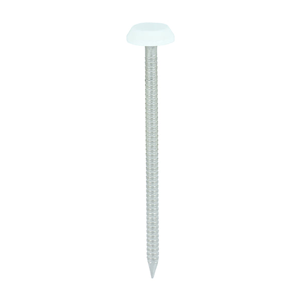 TIMCO Polymer Headed Nails A4 Stainless Steel White - 65mm