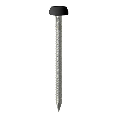 TIMCO Polymer Headed Pins A4 Stainless Steel Black - 30mm