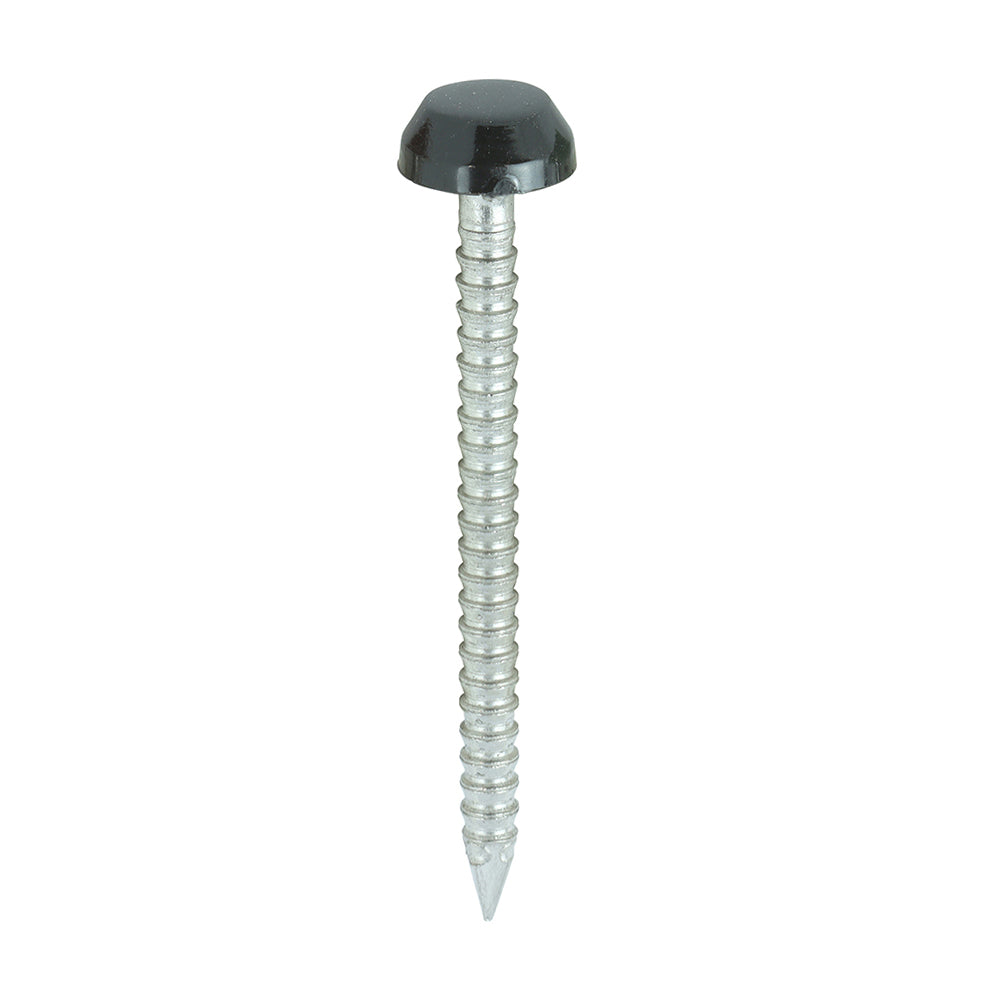 TIMCO Polymer Headed Pins A4 Stainless Steel Black - 30mm