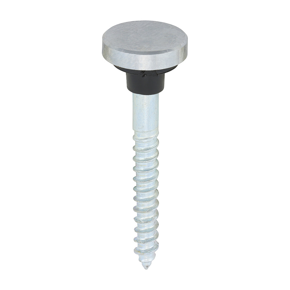 TIMCO Mirror Screws Flat Head Chrome - 8 x 1 1/2