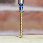TIMCO C2 Strong-Fix Multi-Purpose Premium Countersunk Gold Woodscrews - 3.5 x 30